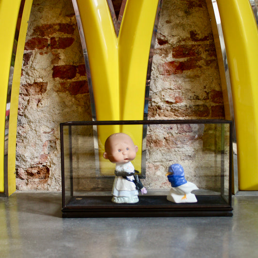 Werk 09. Dappere dodo's in vitrine 47X15,5X26cm